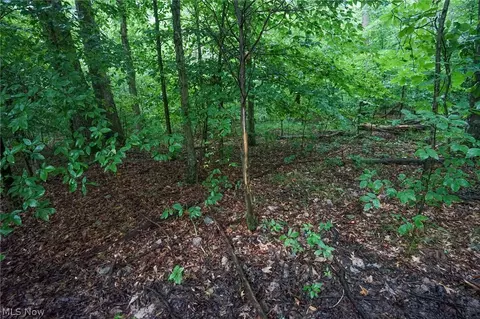 Duncanson Rd, Sinking Spring, OH 45172 photo 8