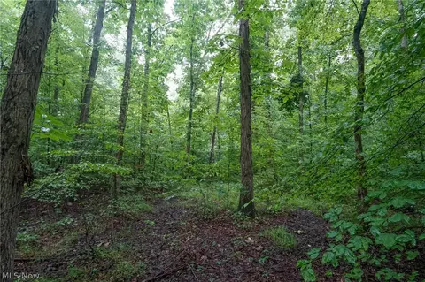 Duncanson Rd, Sinking Spring, OH 45172 photo 14