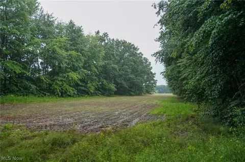 Duncanson Rd, Sinking Spring, OH 45172 photo 46