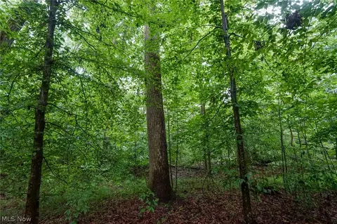 Duncanson Rd, Sinking Spring, OH 45172 photo 23