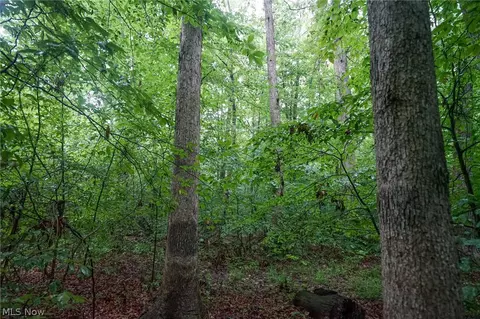 Duncanson Rd, Sinking Spring, OH 45172 photo 22