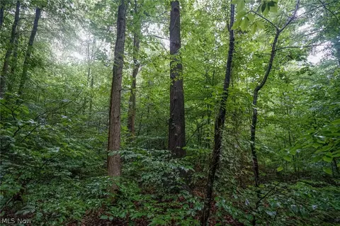 Duncanson Rd, Sinking Spring, OH 45172 photo 25