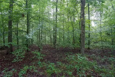 Duncanson Rd, Sinking Spring, OH 45172 photo 15