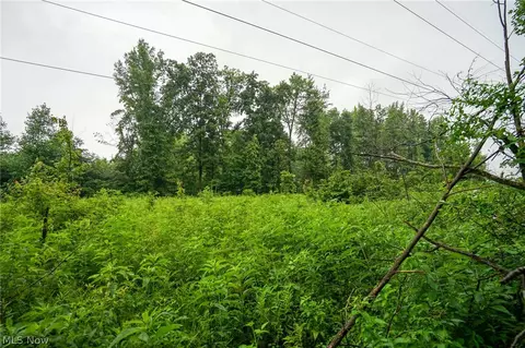 Duncanson Rd, Sinking Spring, OH 45172 photo 35