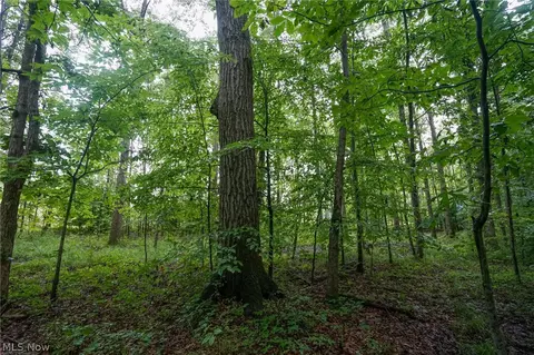 Duncanson Rd, Sinking Spring, OH 45172 photo 11