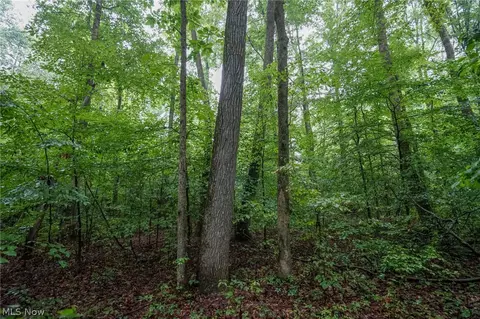 Duncanson Rd, Sinking Spring, OH 45172 photo 40