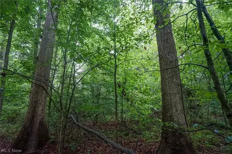 Duncanson Rd, Sinking Spring, OH 45172 photo 24
