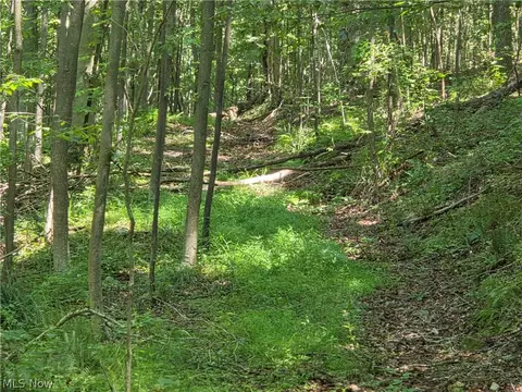 Midvale Mine Rd, Midvale, OH 44653 photo 13