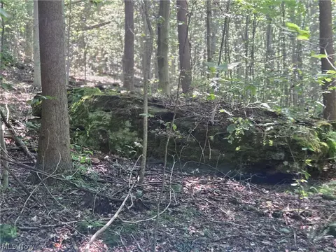 Midvale Mine Rd, Midvale, OH 44653 photo 12