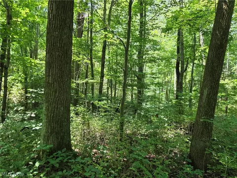 Midvale Mine Rd, Midvale, OH 44653 photo 6