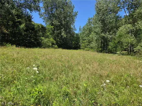 Midvale Mine Rd, Midvale, OH 44653 photo 14