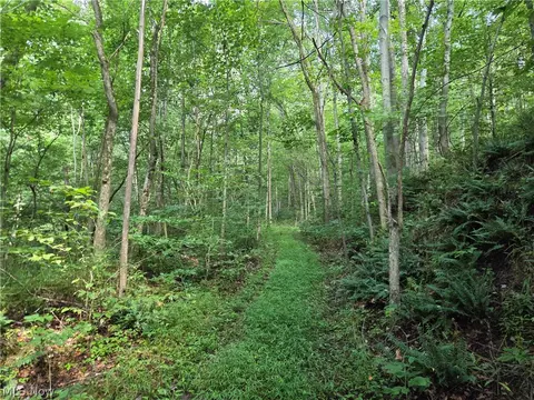 Midvale Mine Rd, Midvale, OH 44653 photo 8