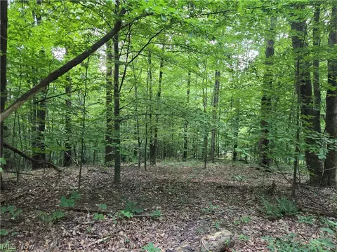 Midvale Mine Rd, Midvale, OH 44653 photo 7