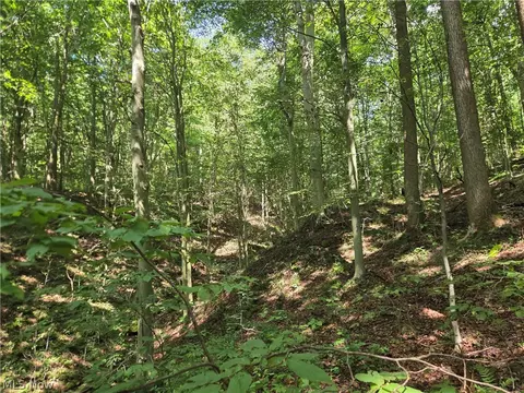 Midvale Mine Rd, Midvale, OH 44653 photo 11