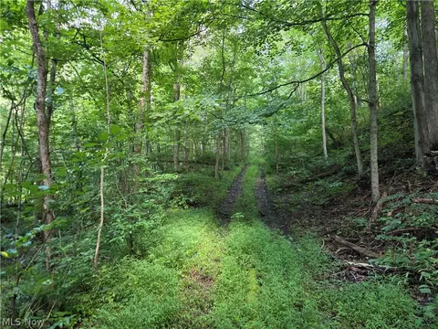 Midvale Mine Rd, Midvale, OH 44653 photo 9