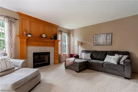 Living - 419 Treeview Dr, Wadsworth, OH 44281 photo 2 of 3