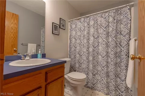 Bath - 419 Treeview Dr, Wadsworth, OH 44281 photo 4 of 4