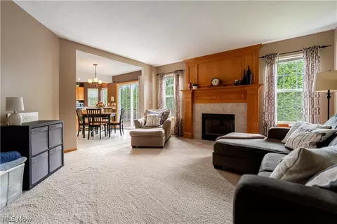 Living - 419 Treeview Dr, Wadsworth, OH 44281 photo 3 of 3