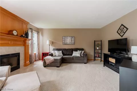 Living - 419 Treeview Dr, Wadsworth, OH 44281 photo 1 of 3