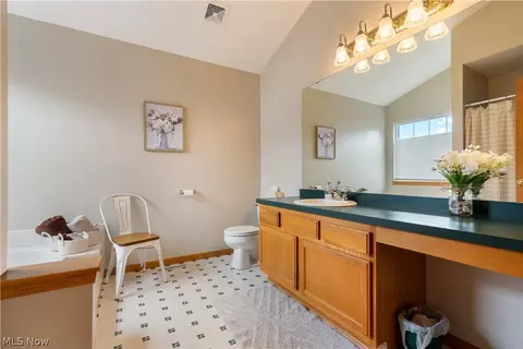 Bath - 419 Treeview Dr, Wadsworth, OH 44281 photo 2 of 4
