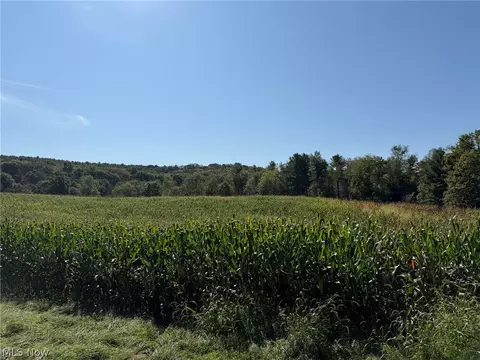 54 Parma Rd NE, Carrollton, OH 44615 photo 8