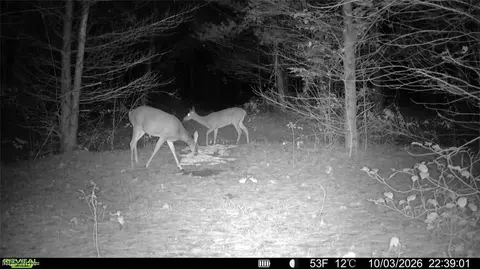 Township Rd 329, Corning, OH 43730 photo 40