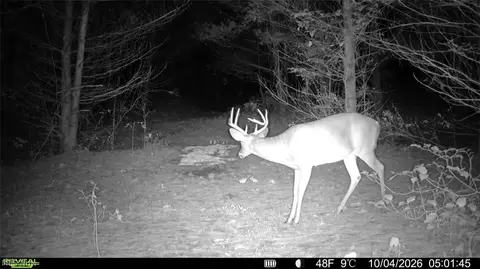 Township Rd 329, Corning, OH 43730 photo 4