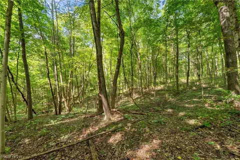Township Rd 329, Corning, OH 43730 photo 35