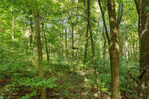 Township Rd 329, Corning, OH 43730 photo 31