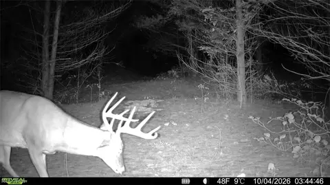 Township Rd 329, Corning, OH 43730 photo 2