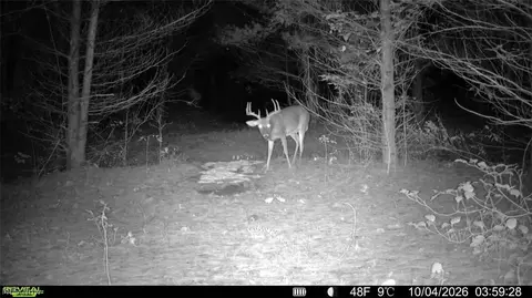 Township Rd 329, Corning, OH 43730 photo 39