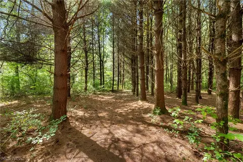 Township Rd 329, Corning, OH 43730 photo 6