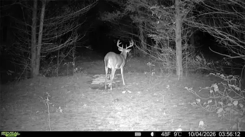 Township Rd 329, Corning, OH 43730 photo 5