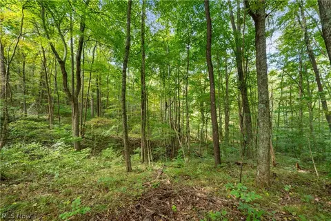 Township Rd 329, Corning, OH 43730 photo 30