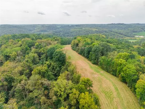 84134 Brewer Rd, Cadiz, OH 43907 photo 33