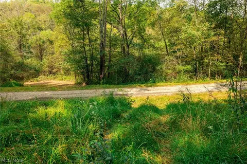 84134 Brewer Rd, Cadiz, OH 43907 photo 50