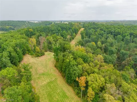 84134 Brewer Rd, Cadiz, OH 43907 photo 25