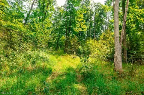 84134 Brewer Rd, Cadiz, OH 43907 photo 44