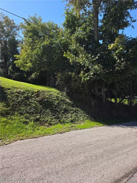Young Lane, Saint Clairsville, OH 43950