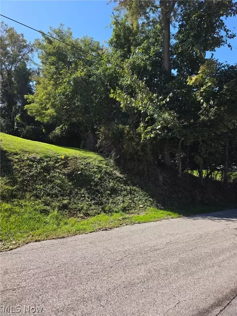 Young Lane, Saint Clairsville, OH 43950