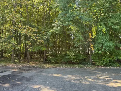 Other - 1331 Fox Run Dr #4, Boardman, OH 44512 photo 3 of 3