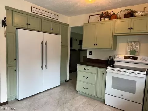 Kitchen - 42820 Dellefield Rd, Elyria, OH 44035 photo 3 of 4