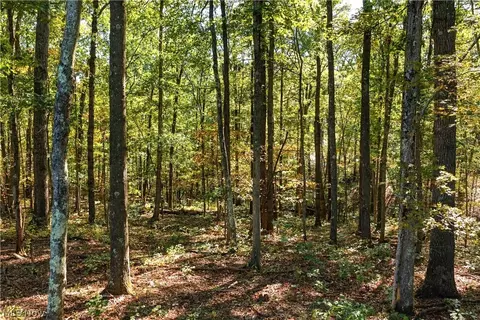 Other - 202 Mount Carmel Rd, Walker, WV 26180 photo 13 of 23