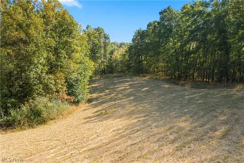Other - 202 Mount Carmel Rd, Walker, WV 26180 photo 11 of 23