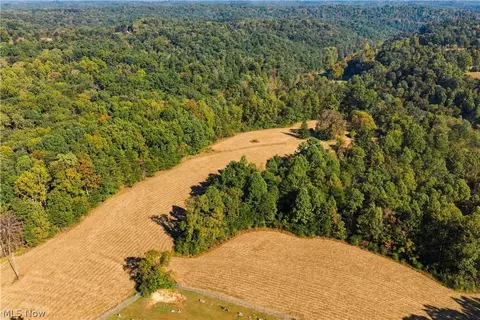 Other - 202 Mount Carmel Rd, Walker, WV 26180 photo 21 of 23