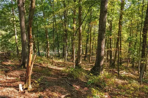 Other - 202 Mount Carmel Rd, Walker, WV 26180 photo 15 of 23