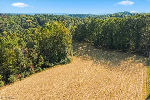 Other - 202 Mount Carmel Rd, Walker, WV 26180 photo 8 of 23