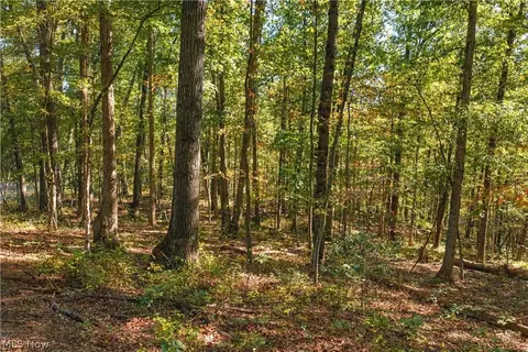 Other - 202 Mount Carmel Rd, Walker, WV 26180 photo 16 of 23