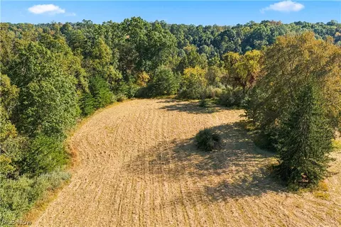Other - 202 Mount Carmel Rd, Walker, WV 26180 photo 5 of 23