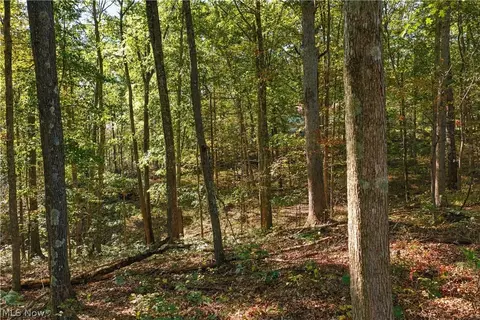 Exterior - 202 Mount Carmel Rd, Walker, WV 26180 photo 1 of 1